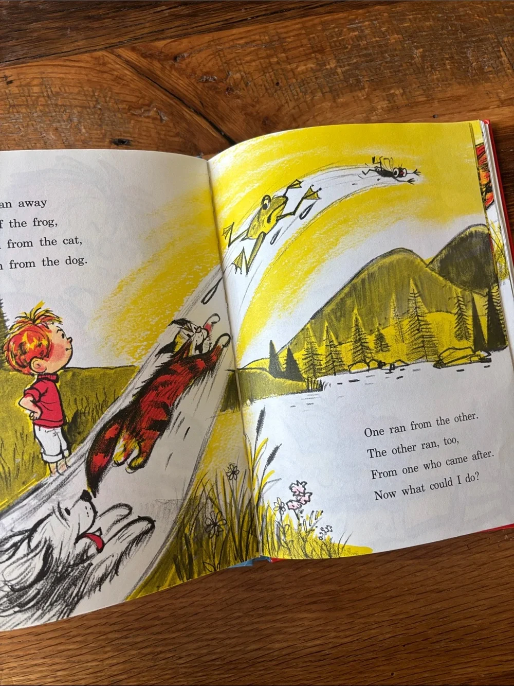 Dr. Seuss A Fly Went By Book - Blue, Yellow, Orange, Pink